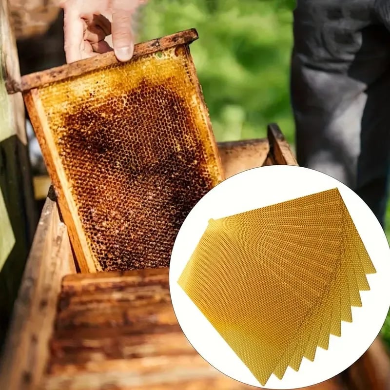 🔥 LAST DAY 49% OFF-🕯️DIY Beeswax Candle Making Kit (12-Piece Set) – Create Your Own Cozy Glow!