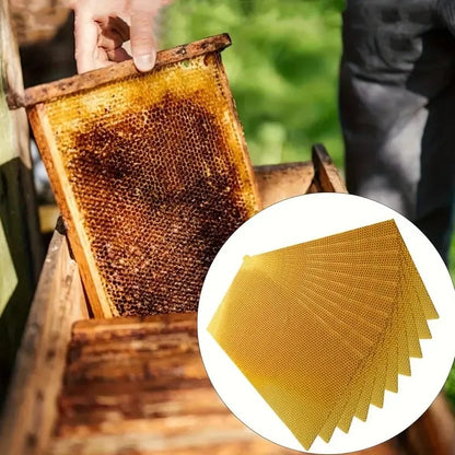 🔥 LAST DAY 49% OFF-🕯️DIY Beeswax Candle Making Kit (12-Piece Set) – Create Your Own Cozy Glow!