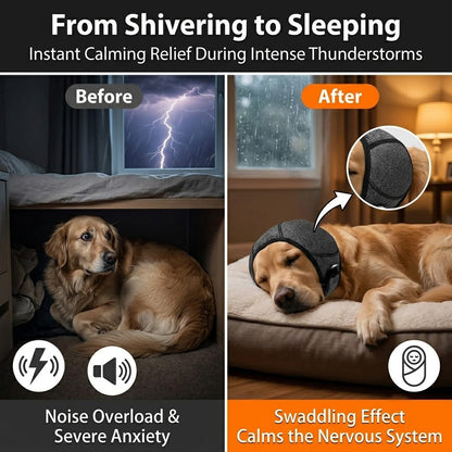 🔥 [Flash Sale - 50% OFF] No More Shivering from Thunder & Dryers! ❤️  Dog Calming Ear Wrap for Instant Anxiety Relief