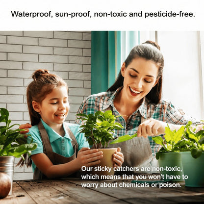 Non-Toxic Indoor Pot Traps