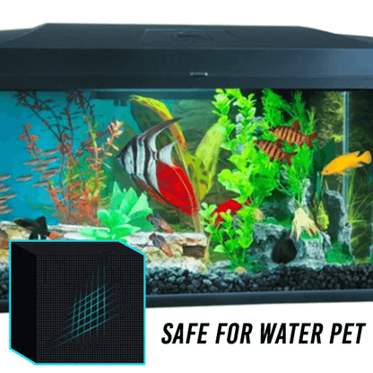 🔥Water Purifier Cube