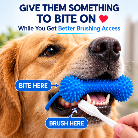🔥LAST DAY 49% OFF -🐶Adjustable Dog Dental Brushing Aid | Secure Chew Support for Easier Teeth Cleaning