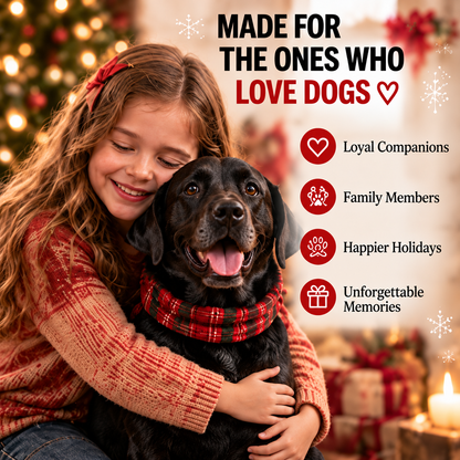 💥LAST DAY 50% OFF-🐶3D Black Labrador 24-Day Christmas Countdown Calendar