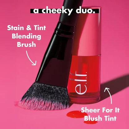 💕 Sheer For It Blush Tint & Lip Stain – A Cheeky Duo 💋