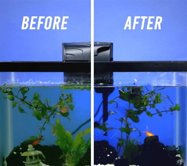 🔥Water Purifier Cube