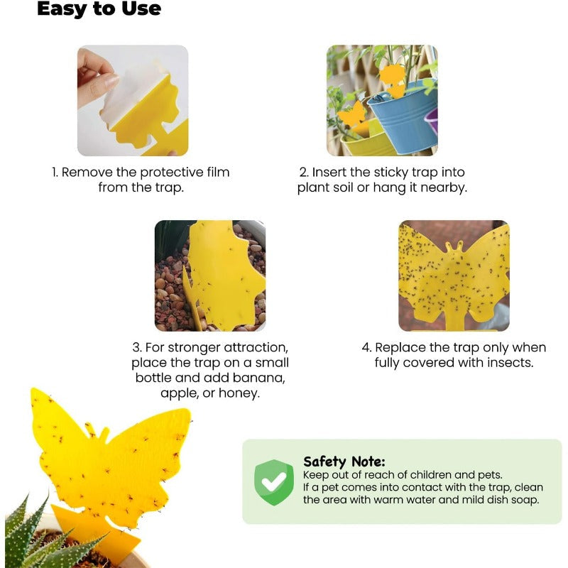 Non-Toxic Indoor Pot Traps