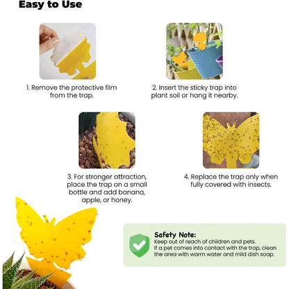Non-Toxic Indoor Pot Traps
