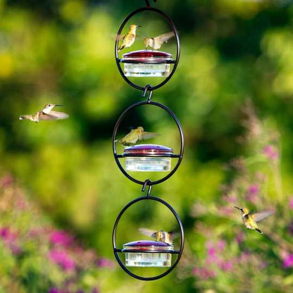 🎉 Last Day 49% OFF 🎉Hummble Slim Hummingbird Feeder