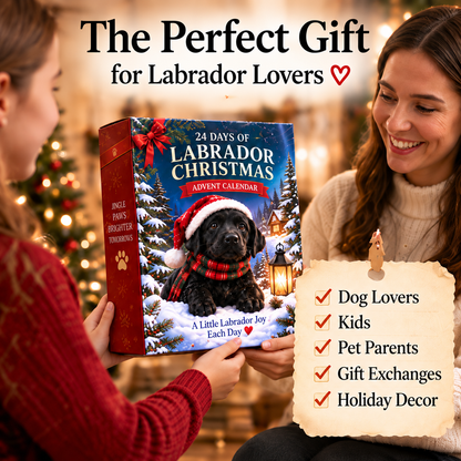 💥LAST DAY 50% OFF-🐶3D Black Labrador 24-Day Christmas Countdown Calendar