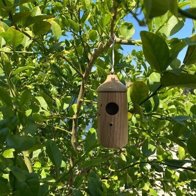 🔥🕊️Wooden Hummingbird House-Gift for Nature Lovers