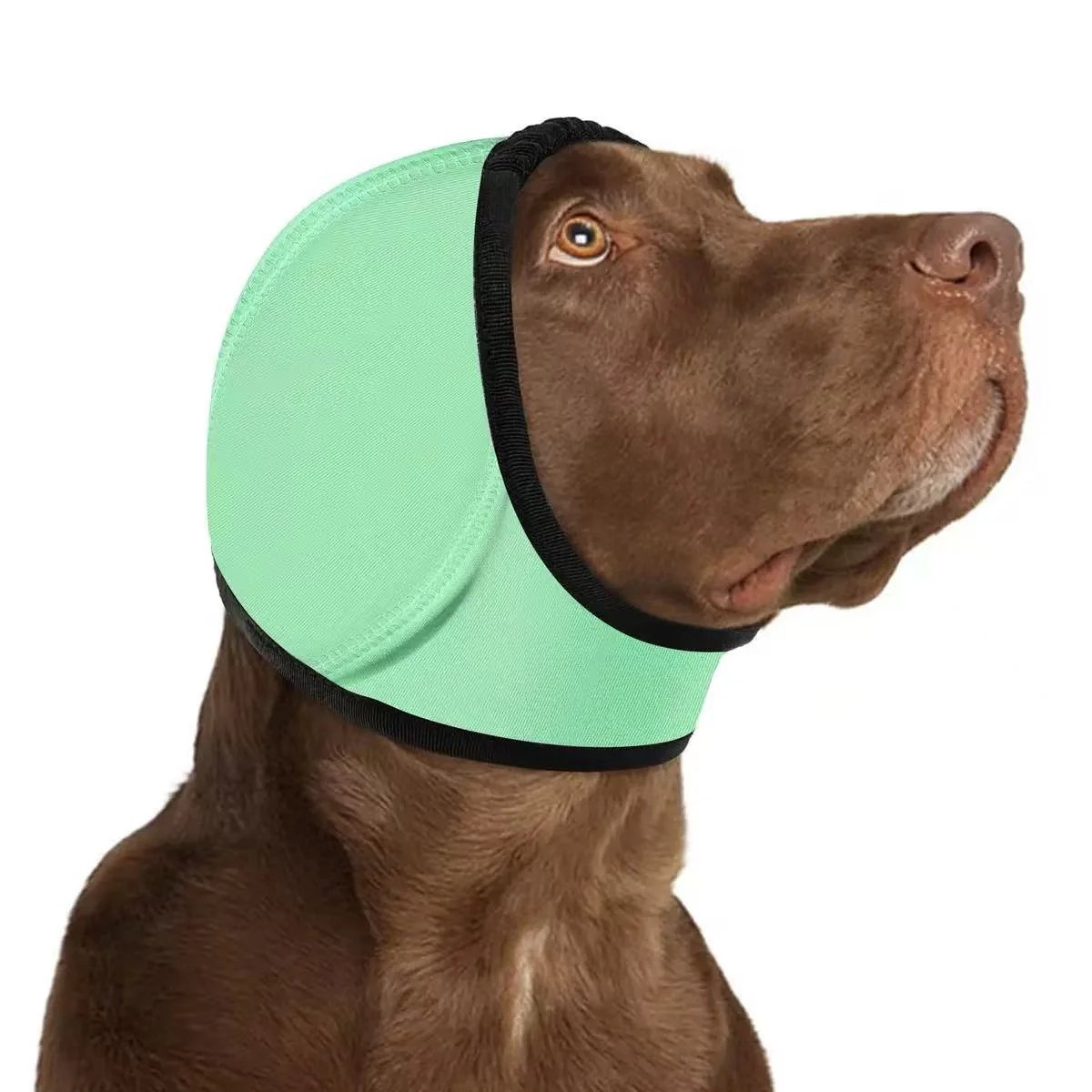 🔥 [Flash Sale - 50% OFF] No More Shivering from Thunder & Dryers! ❤️  Dog Calming Ear Wrap for Instant Anxiety Relief