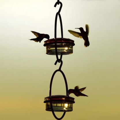 🎉 Last Day 49% OFF 🎉Hummble Slim Hummingbird Feeder