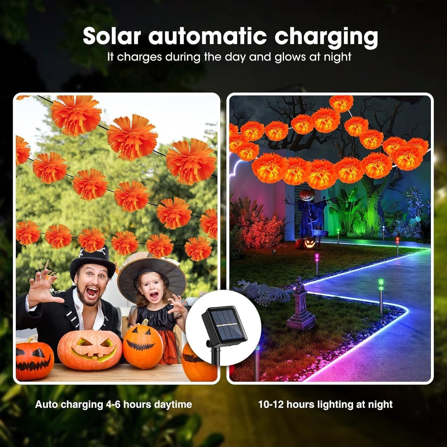 🔥Last Day 49% OFF -🏵️💀 Mexican Marigold Flower String Lights | 💕Death is not the end of life, forgetting is