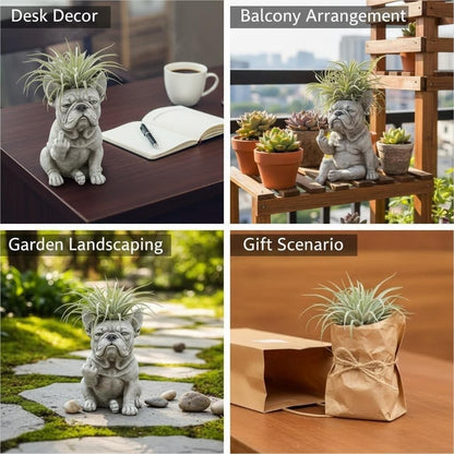 🐶 Limited-Time 58% OFF - Grumpy French Bulldog Planter (Plants not included)