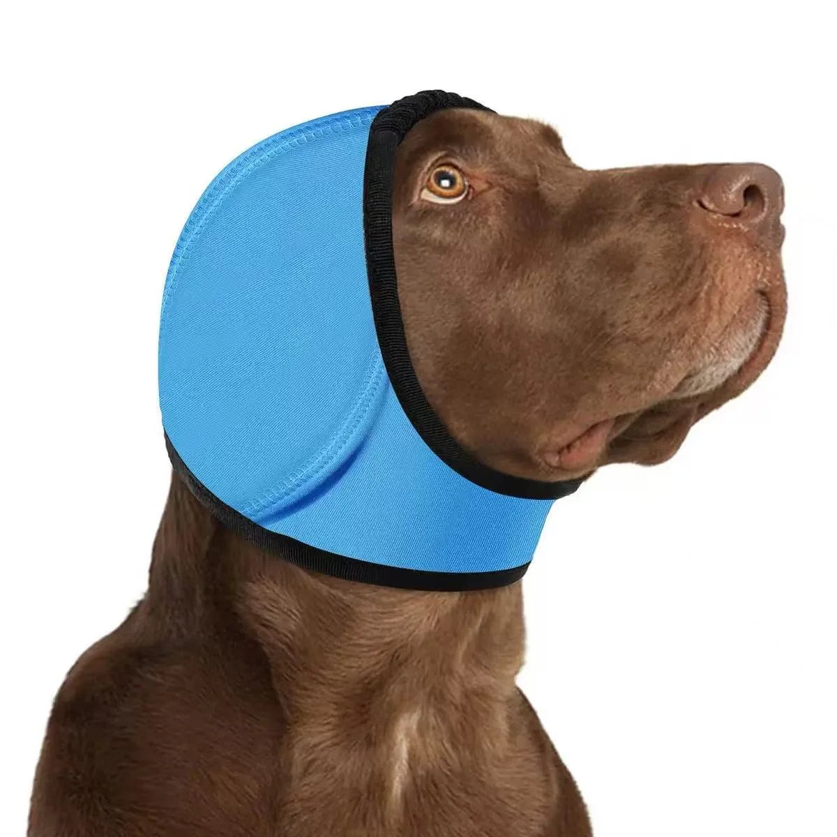 🔥 [Flash Sale - 50% OFF] No More Shivering from Thunder & Dryers! ❤️  Dog Calming Ear Wrap for Instant Anxiety Relief