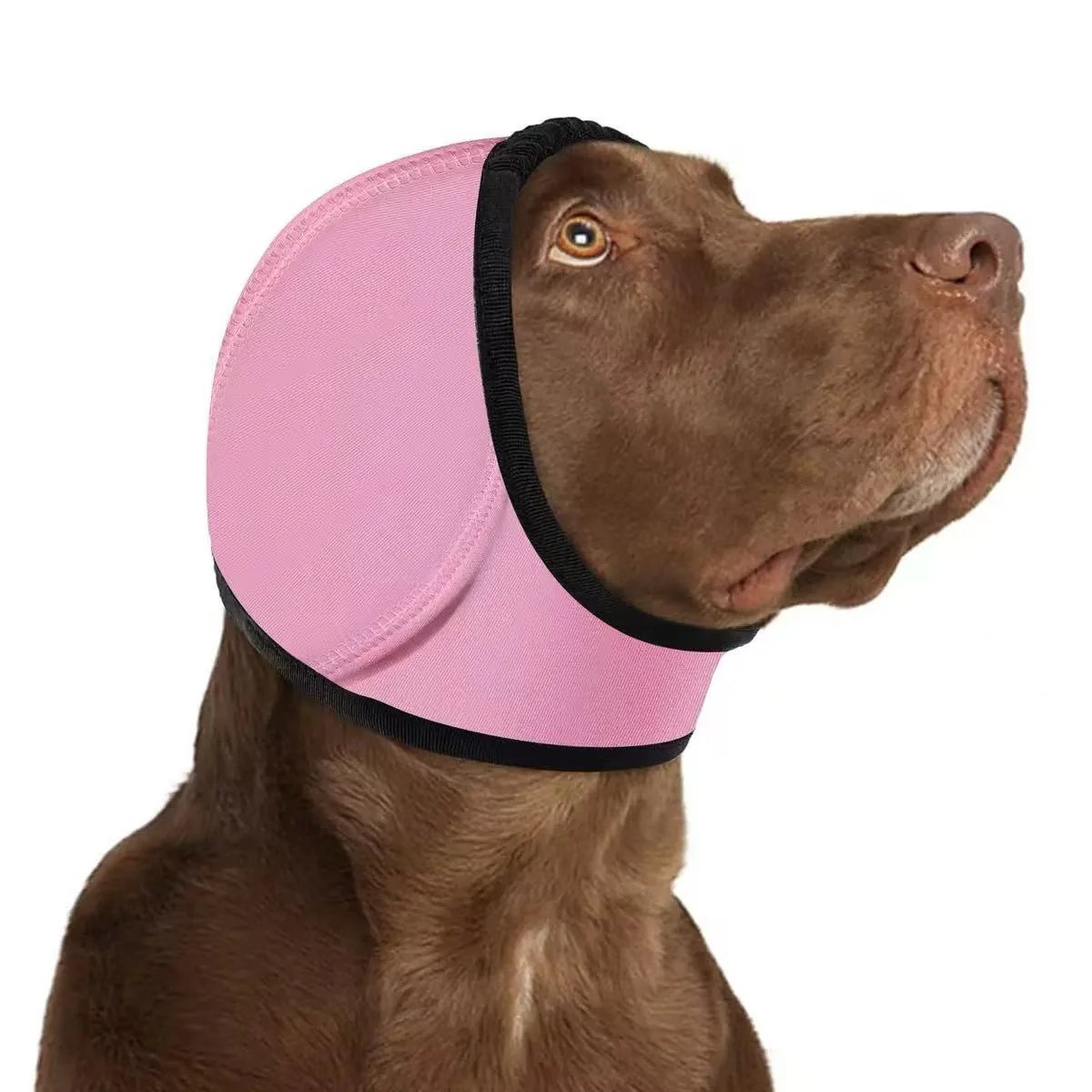 🔥 [Flash Sale - 50% OFF] No More Shivering from Thunder & Dryers! ❤️  Dog Calming Ear Wrap for Instant Anxiety Relief