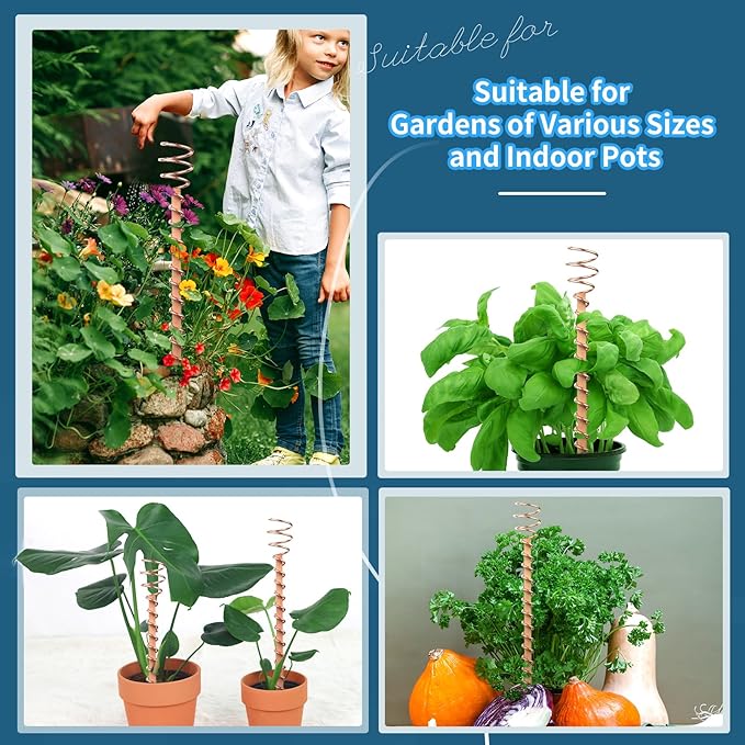 Electroculture Plant Stakes, 6 Pack 11.5" Long Copper Garden Stakes