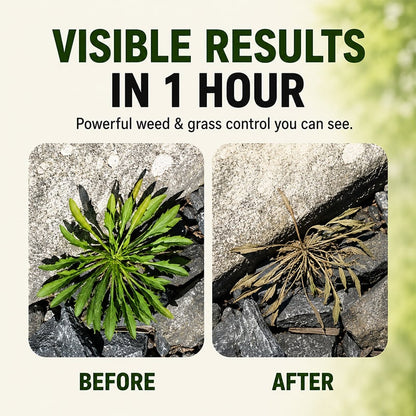 🌿Fast-acting Natural Weed & Grass Killer Spray