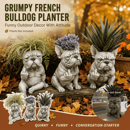 🐶 Limited-Time 58% OFF - Grumpy French Bulldog Planter (Plants not included)