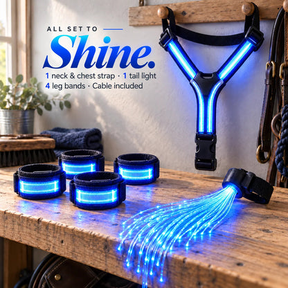 🌈🐎 Ride in Color! LED Horse Light Set – Blue, Green & Pink