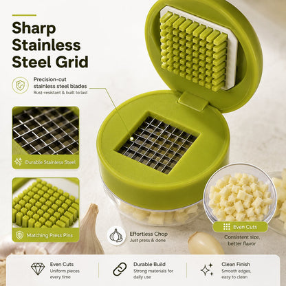 Mini Garlic Chopper and Press with Container