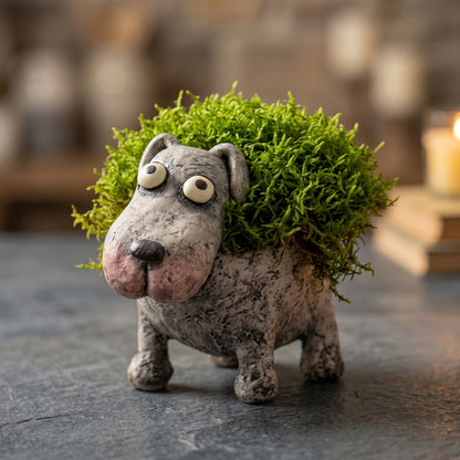 🔥Summer Hot Sale 50% OFF✨ -Funny Cute Animal Planter Collection