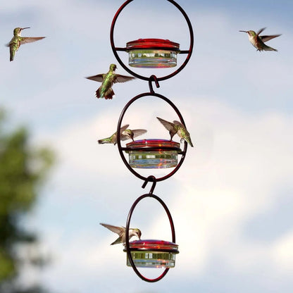 🎉 Last Day 49% OFF 🎉Hummble Slim Hummingbird Feeder