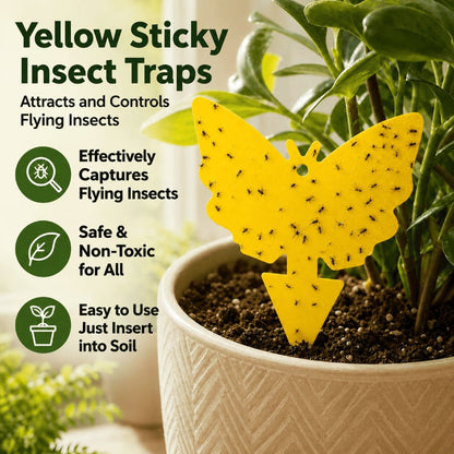 Non-Toxic Indoor Pot Traps