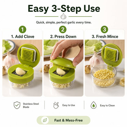 Mini Garlic Chopper and Press with Container