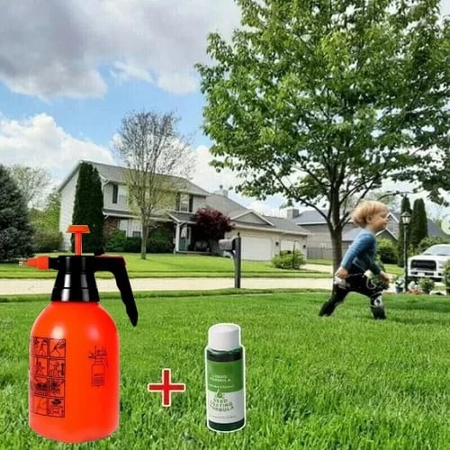 🔥Last Day 49% OFF🔥GreenRevive HydroSeeding Lawn Solution