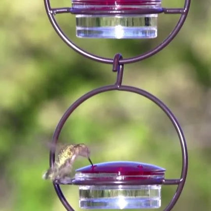 🎉 Last Day 49% OFF 🎉Hummble Slim Hummingbird Feeder