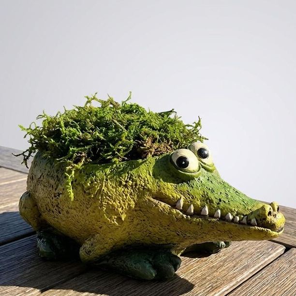 🔥Summer Hot Sale 50% OFF✨ -Funny Cute Animal Planter Collection