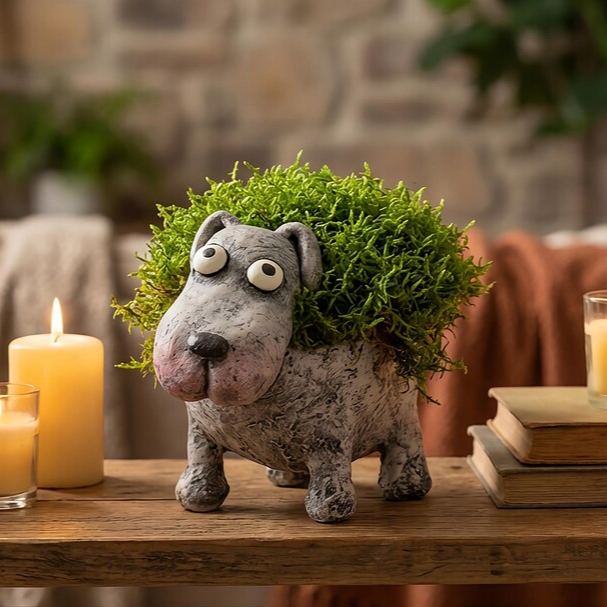 🔥Summer Hot Sale 50% OFF✨ -Funny Cute Animal Planter Collection