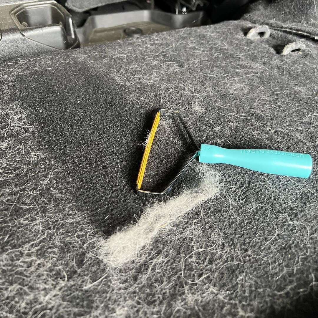 Stop Fighting Pet Hair Every Day-One simple swipe removes the fur your lint rollers and vacuum can't reach.